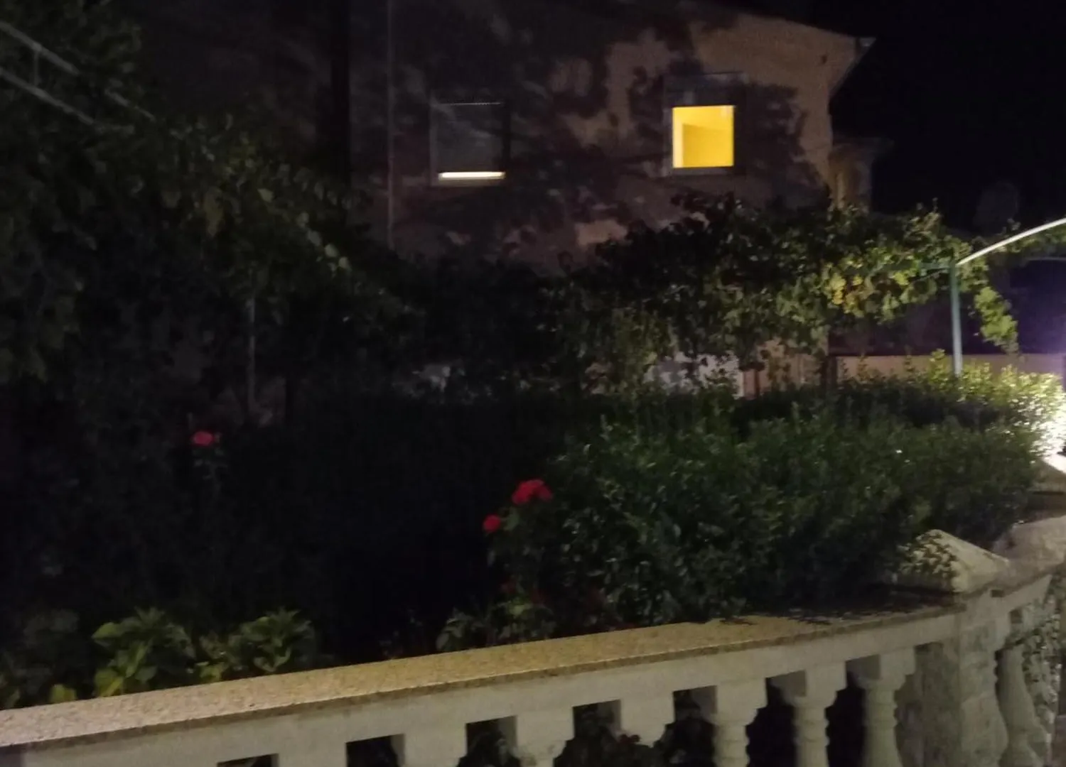 Lejlighed Apartmani Danijela Lopar Kroatien